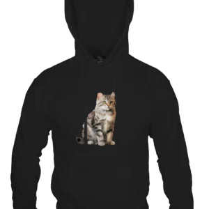 American Curl