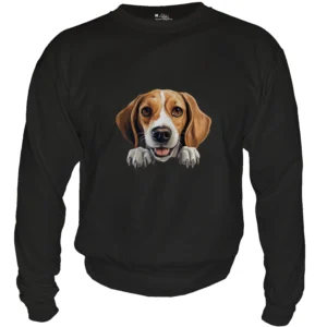 American Foxhound