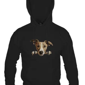 Whippet