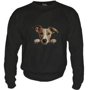 Whippet