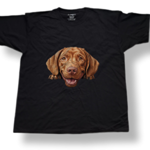 Wirehaired Vizsla