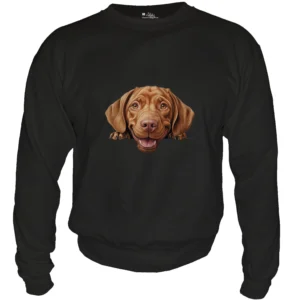 Wirehaired Vizsla