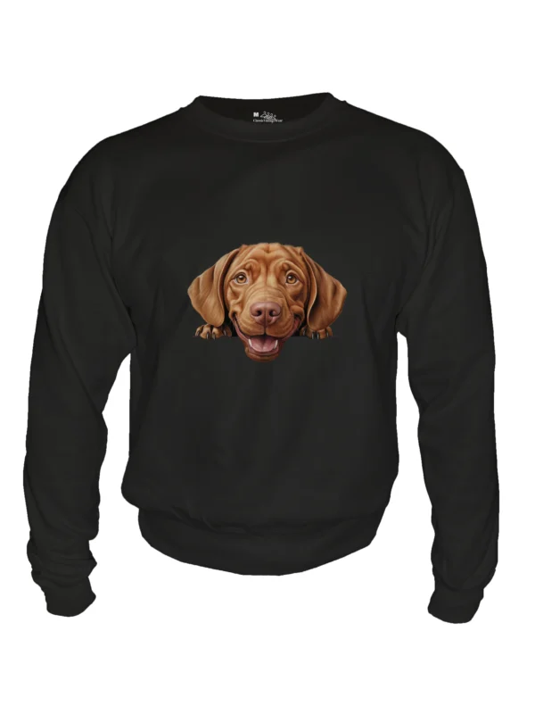 Wirehaired Vizsla