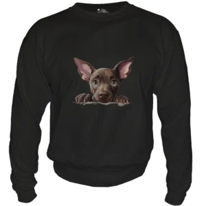 Xoloitzcuintli