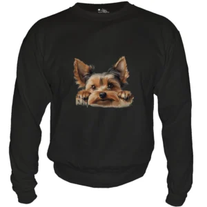 Yorkshire Terrier copy